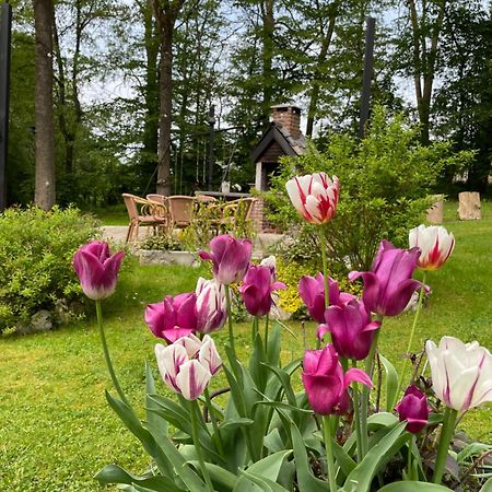 La Villa Emilie デュルビュイ エクステリア 写真