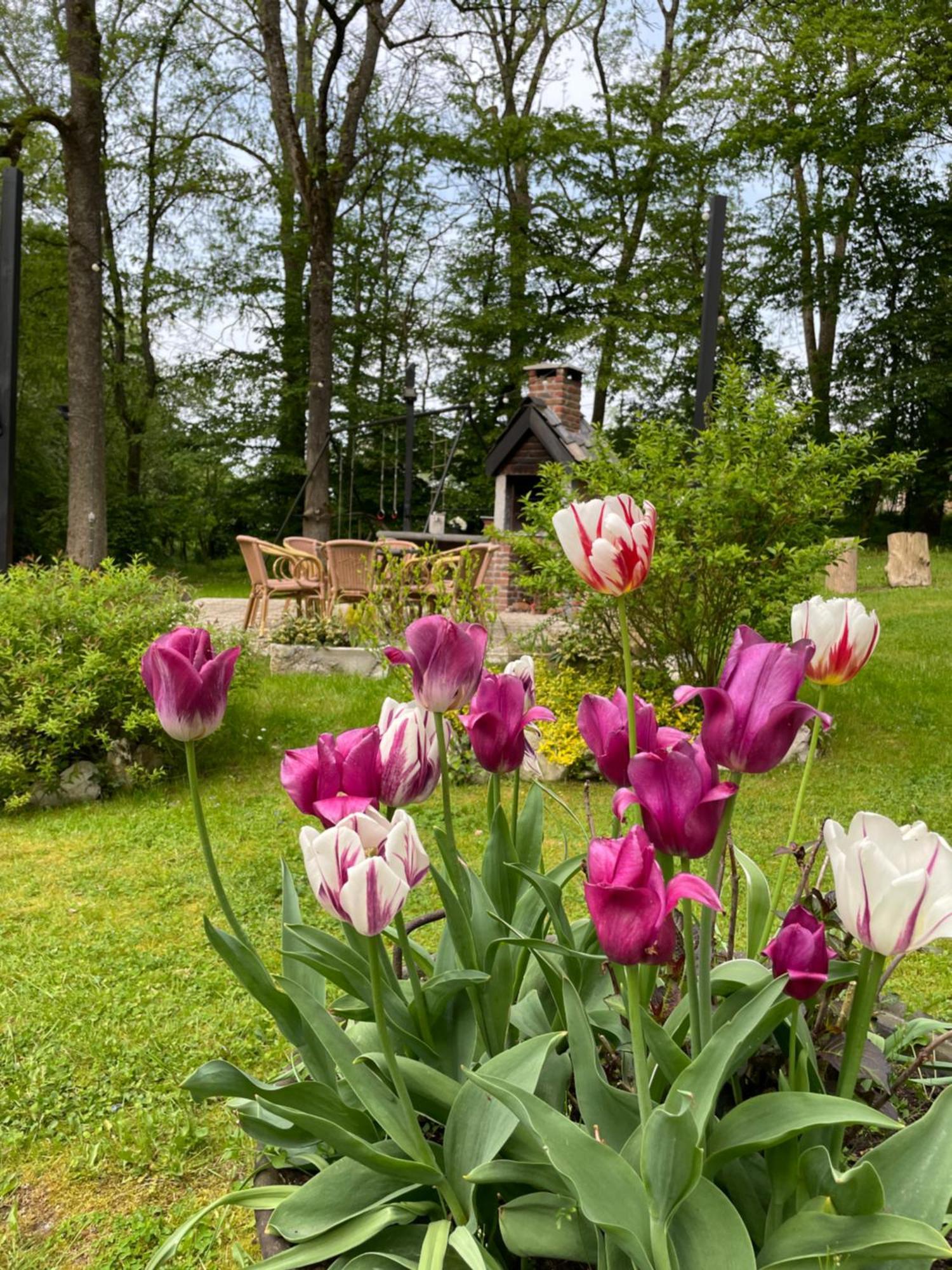 La Villa Emilie デュルビュイ エクステリア 写真